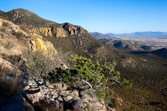 Carr Canyon in Early Light