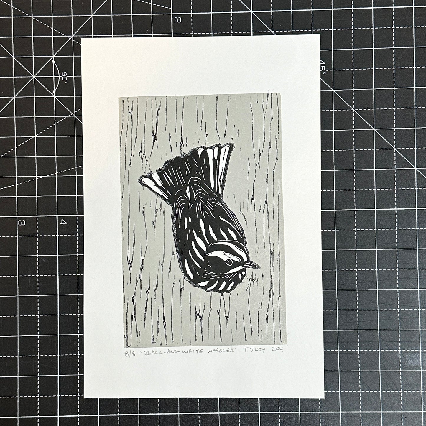 Black-and-White Warbler