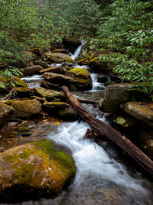 Newberry Creek