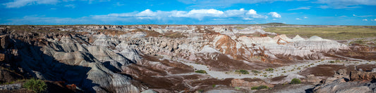 Petrified Forest N.P. - Panorama