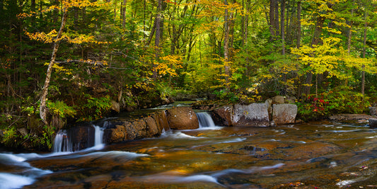 Tom's Creek Outlet in Autumn - Panoramic