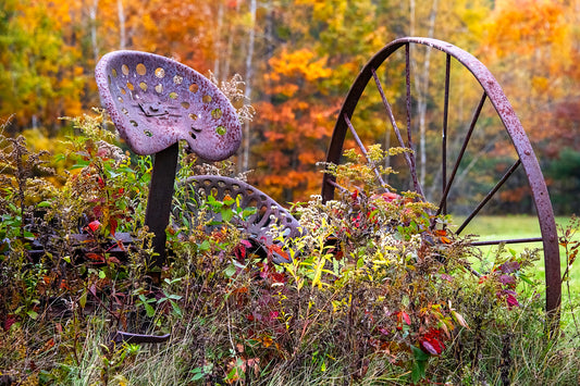 Abandoned Hay Rake