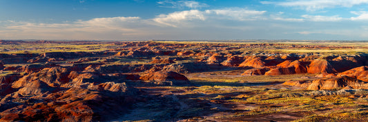 Painted Desert - C - Panorama