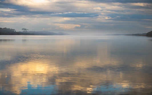 Raincloud Reflection