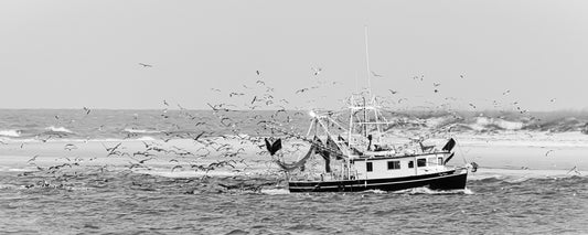 Shrimp Boat - Black and White