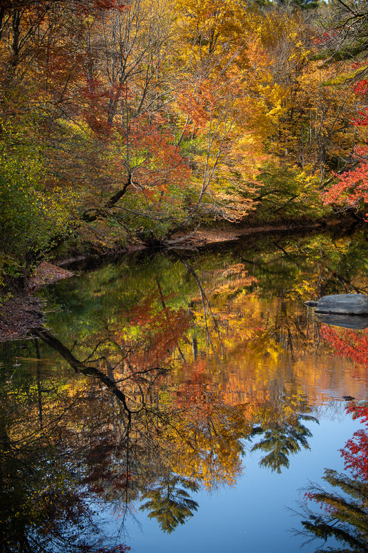 Sugar River Reflection